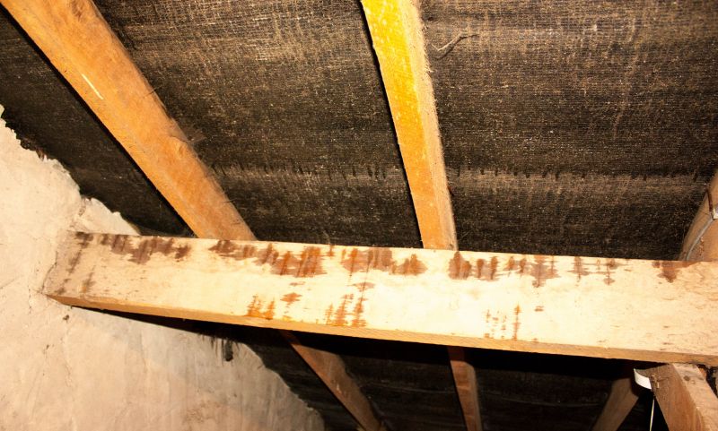 Attic Water Damage Repair in Alpharetta, GA