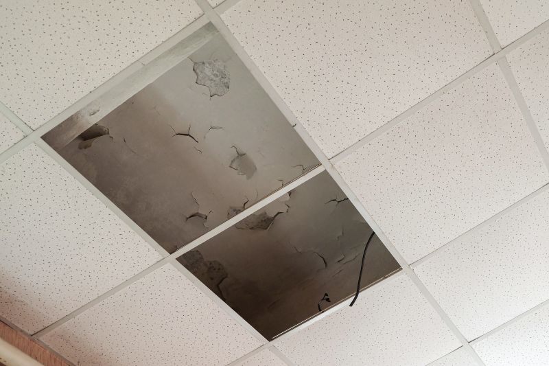 Ceiling Leak Repair Service in Alpharetta, GA