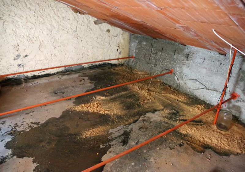 Crawl Space Remediation in Denver, CO