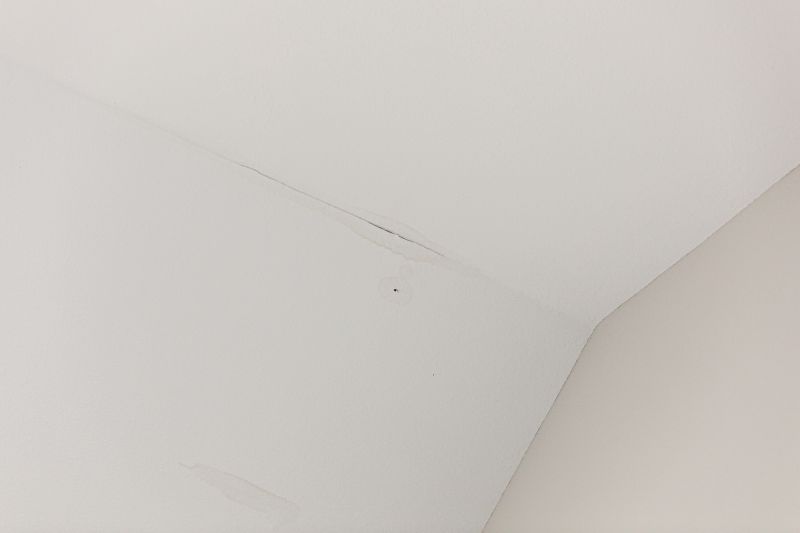 Leaking Ceiling Repair in Conroe, TX