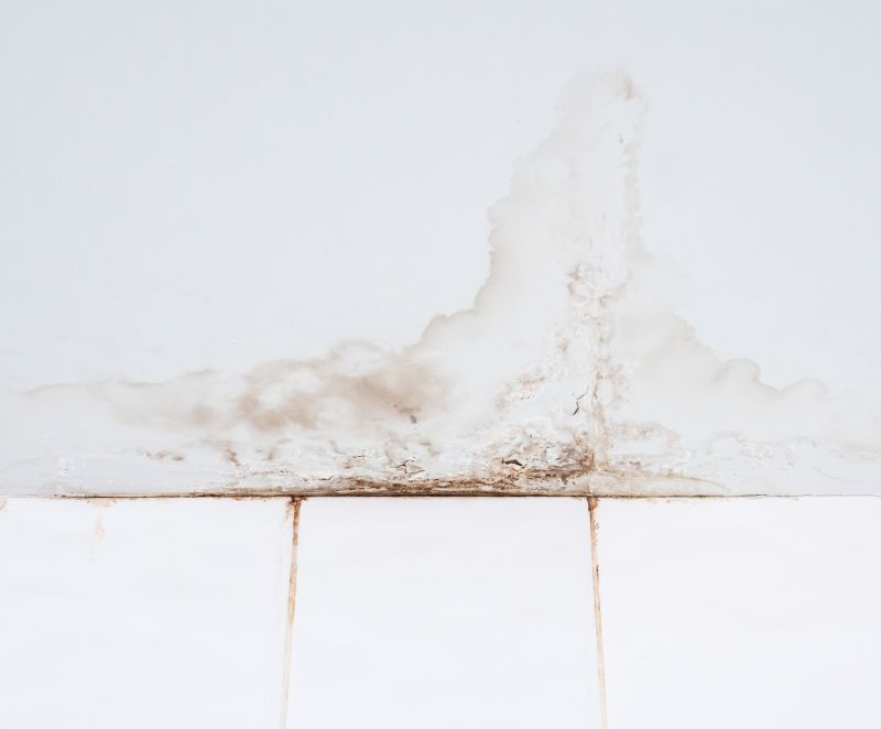 Leaking Ceiling Repair in Houston, TX
